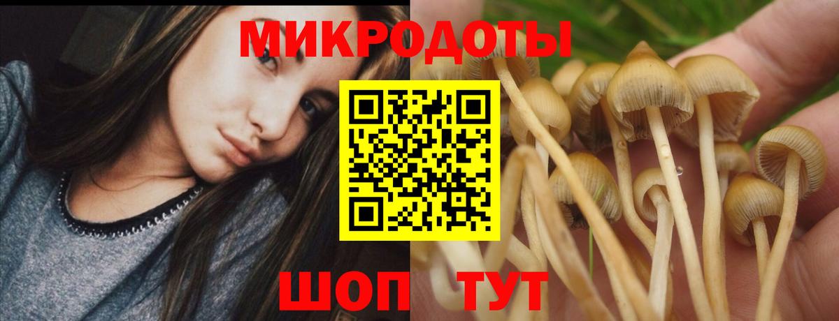 Пенза  Галлюциногенные грибы Psilocybe  Вход с VPN 