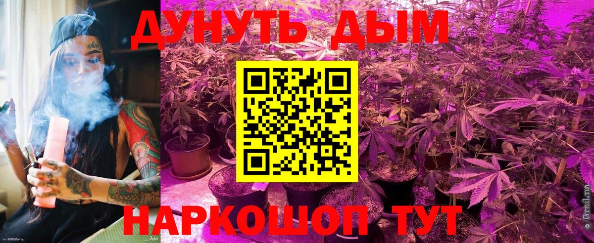 Бошки Шишки семена Пенза